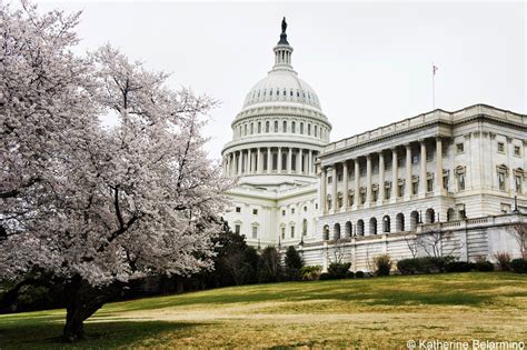 washington dc government website.